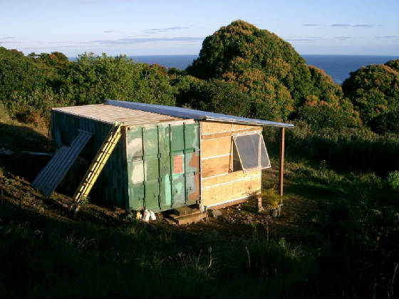 home17.jpg